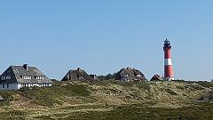Sylt (135)